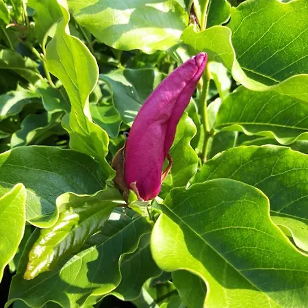 Gasthof Les Puits Bessin Normandie 3*