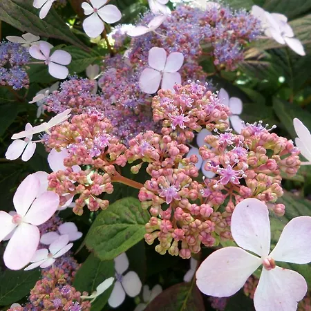 Gasthof Les Puits Bessin Normandie 3*