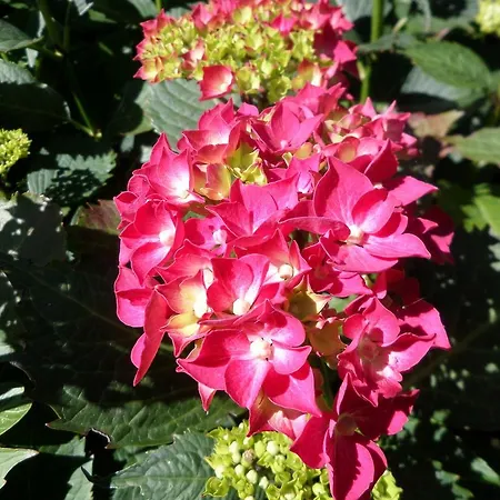 Les Puits Bessin Normandie Gasthof 3*