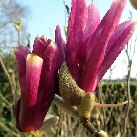 Gasthof Les Puits Bessin Normandie 3*