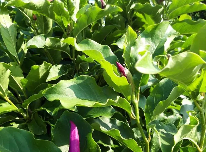 Les Puits Bessin Normandie 3* Sommervieu