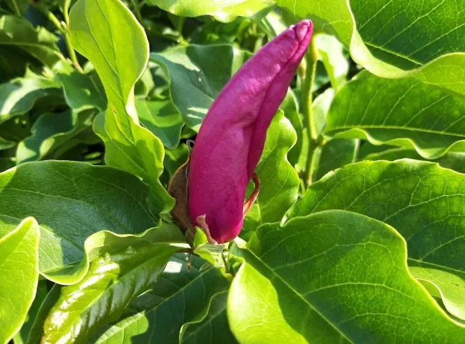 Affittacamere Les Puits Bessin Normandie 3*