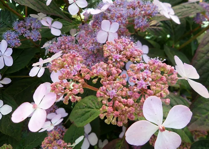 Affittacamere Les Puits Bessin Normandie 3*