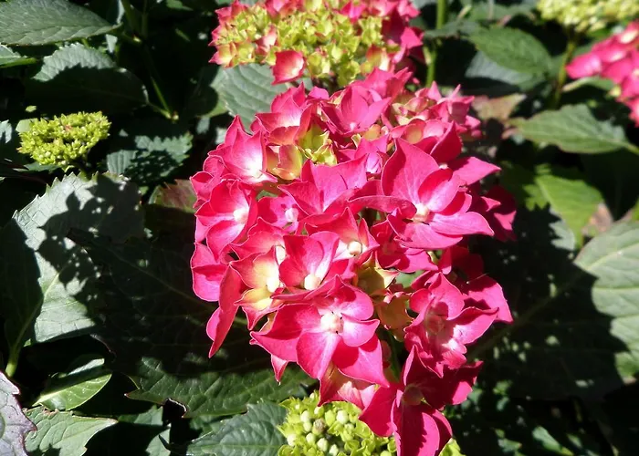 Les Puits Bessin Normandie Affittacamere 3*