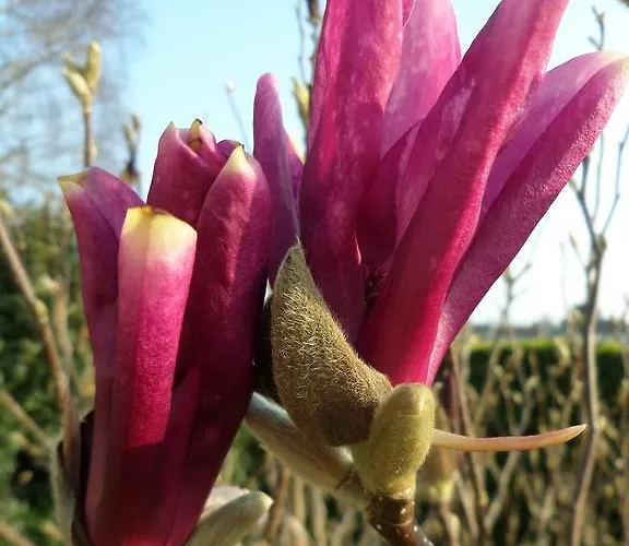 Affittacamere Les Puits Bessin Normandie 3*